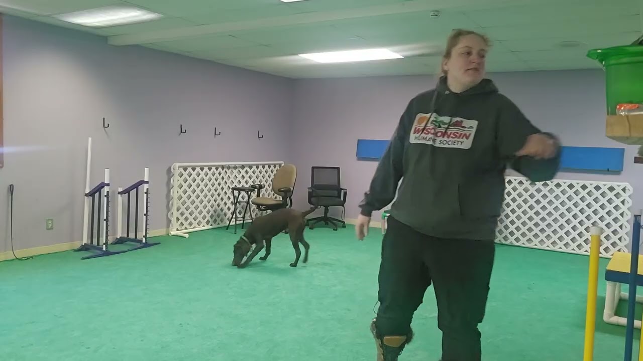 Leroy - leave it 1-4