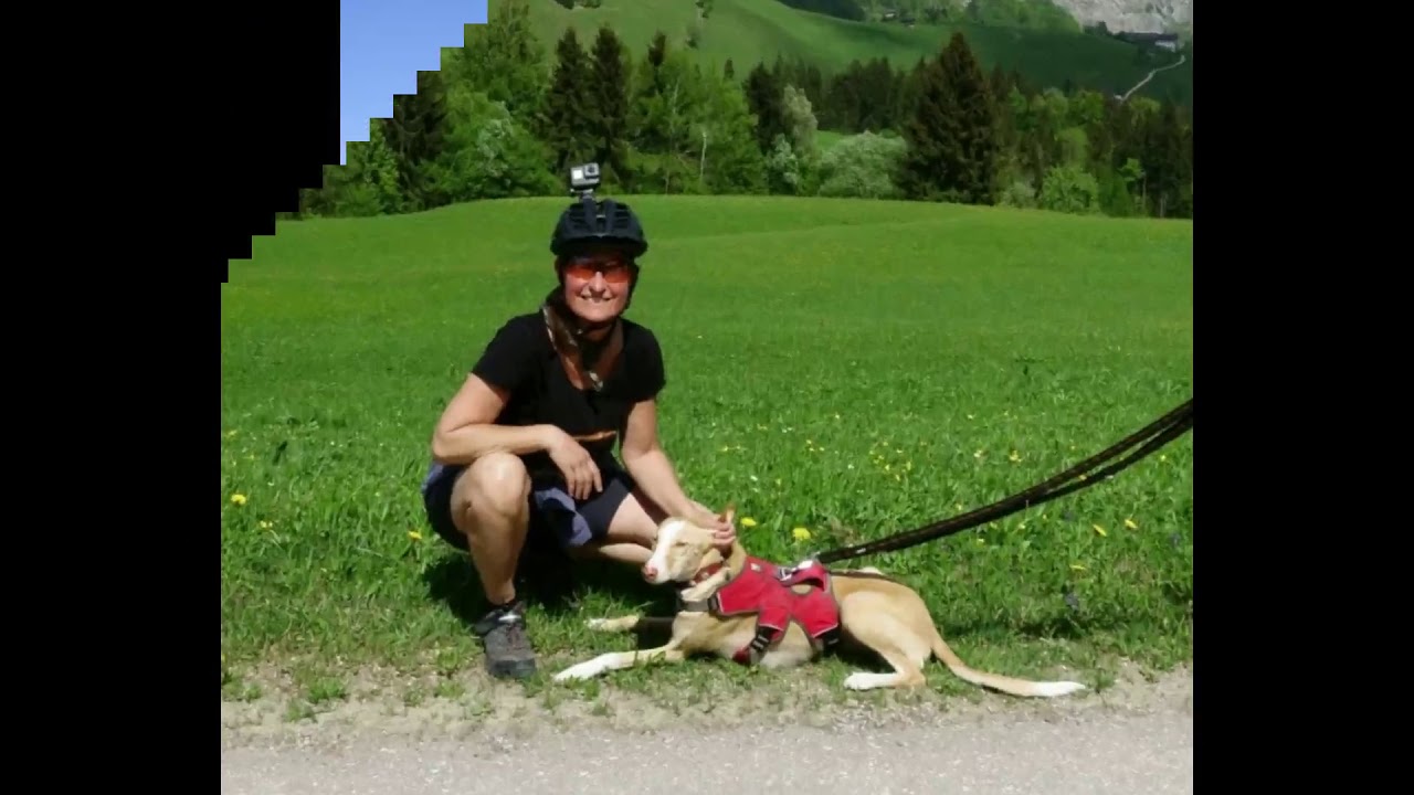 Thiersee - Hiking and Mountainbiking through a great landscape