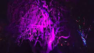 DJI Mavic 3 classic .. Lightscape Brooklyn Botanical Garden ... 2022.... nyc