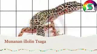 Abubuwan da tsaka ke haifarwa allah yakaremu