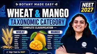 Wheat & Mango Classification Mnemonic | Taxonomic Hierarchy Made Easy | NEET Biology