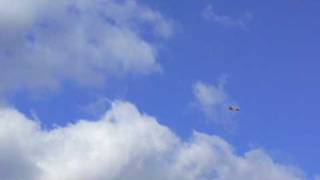 RC Model EDO F-15 Maiden Flight