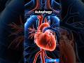 Autophagy! Reverse Your Age. #autophagy #healthyaging #afterage50 #viral #foryou