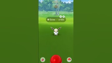 NO WAY! Shiny Eevee In The Wild #pokemongo #rare #shiny #eevee #shorts  #fyp