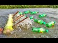 New Fishing Technique | Hook Fishing | Catching Fish With Plastic Bottle Fish Trap