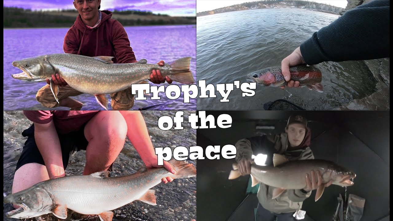 Hudson's Hope Trophy Trout