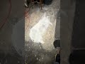 workshop ￼pig