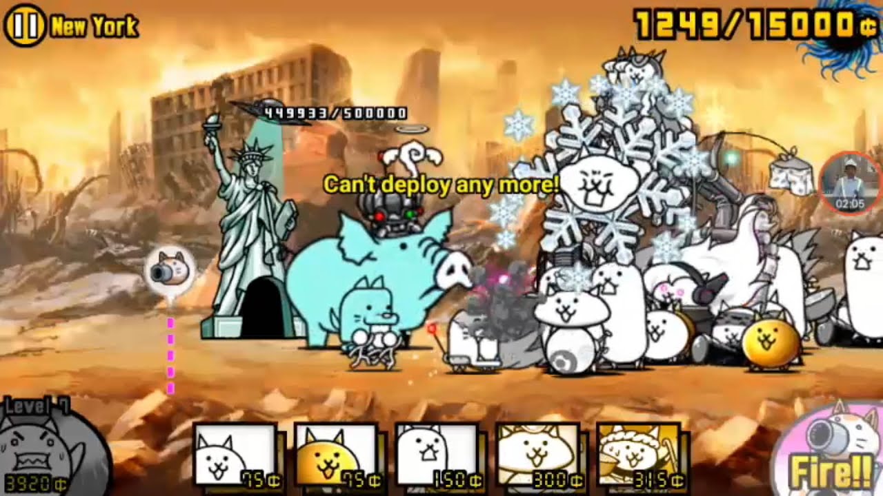 Battle Cats In New York