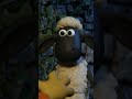 羊たち vs 意地悪な猫 🐑💥🐈 | ひつじのショーン #shorts