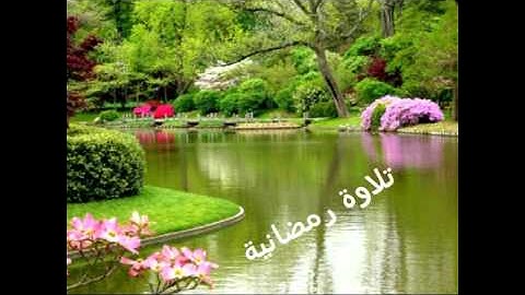 اجمل تلاوة سمعتها لقارئ يمني رائع