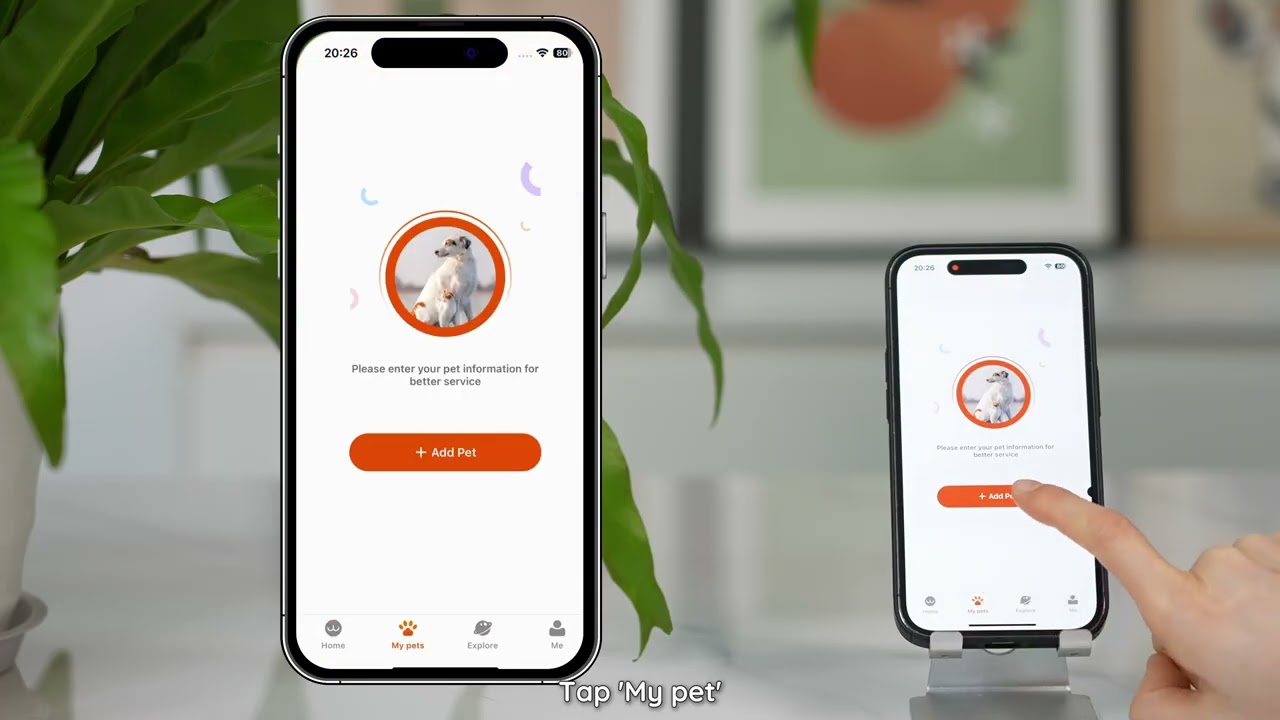 How to Tutorial | WOpet Heritage View Automatic Pet Feeder