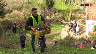 Volontariat Et Implantation Darbres À Timizart À Tizi-Ouzou ...