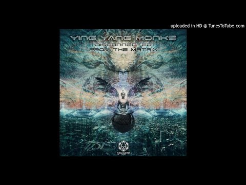Ying Yang Monks - Disconnected From The Matrix (Original Mix)