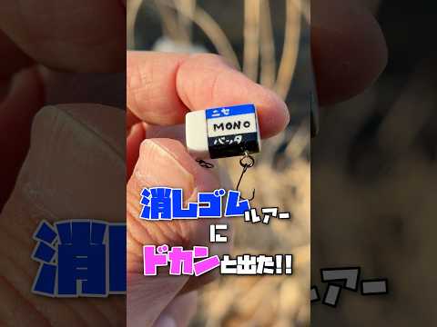 消しゴムルアーで楽しむ春のトップウォーターウォーターチャビング！ #珍妙釣り具工房おうち #チャビング #fishingのサムネイル