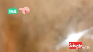 Awsome lunch in Laxrury cruise ship AIDA bela.......