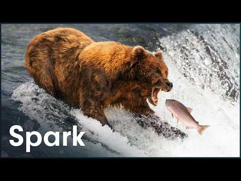 Inside The World's Most Dangerous Migration