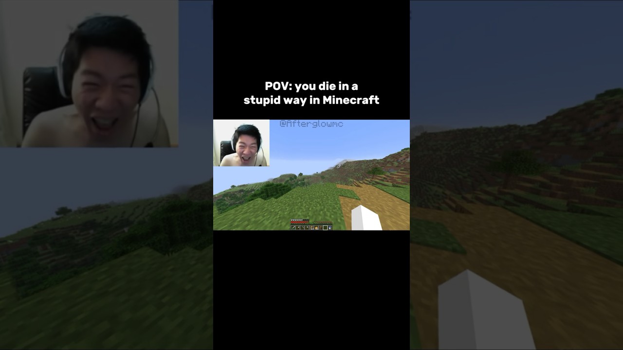 Minecraft Stupid Moment