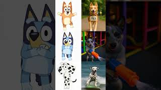 🐾 BLUEY Real Life: Bluey, Bingo, Bandit, Chilli, Muffin, Stripe & Lucky  #shorts #bluey