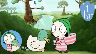 Ssst! Sarah dan Bebek Sedang Mencoba Mengamati Burung | Maraton Sarah & Bebek | Kartun untuk Anak...
