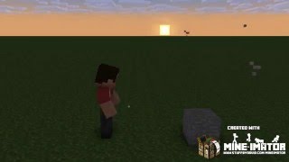 Blocking Placing Fail | Minecraft Animation