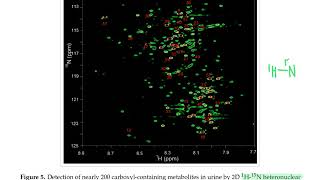 CHM4930 NMR Metabolomics