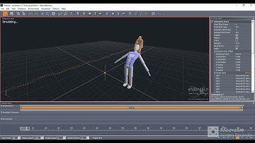 How to use Motion Transfer in Endorphin ( + spine bug fix )