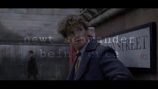 newt scamander being cute part 2