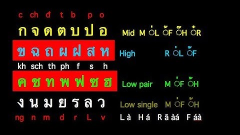 Học ghép chữ THÁI (#6) Pla Kru Kray