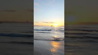 Weligama beach paradise 🇱🇰 #travel #srilanka #weligama