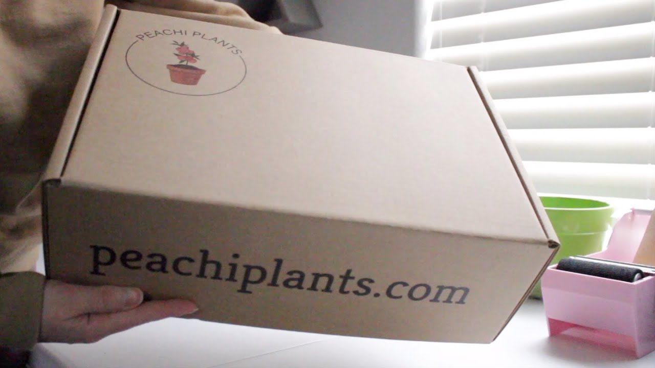 Pack a plant parent starter kit with us🌿