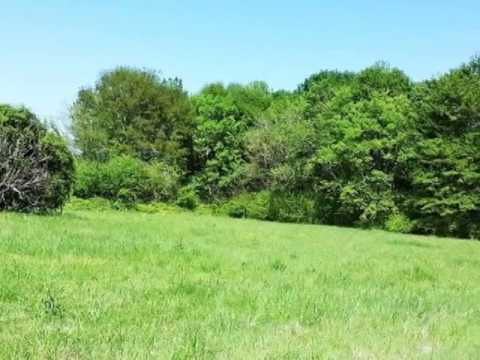 0 Moulton Danville Road, Moulton, AL home video tour