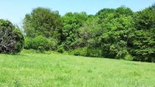 0 Moulton Danville Road video tour