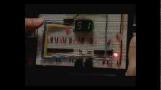 Celebrity Dual 7 Segment LED with Multiplexed Inputs with Schematic Wealth