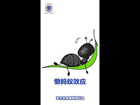 懒蚂蚁效应
