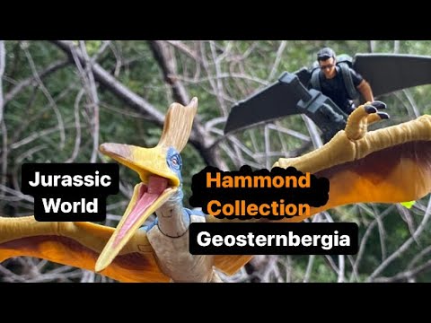 REVIEW! Jurassic World: Hammond Collection - Geosternbergia - YouTube
