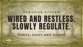 15-Minute Grounding Meditation|  Nervous System Regulation & Stress Relief