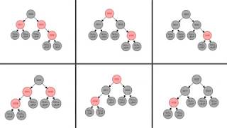 CS 14 SI Red Black Trees
