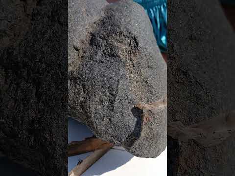 شهابسنگ بینظیر مریخی نخلایت زیبا باچگالی 3 15 ترند سنگبازی   شلتنا  نزهه