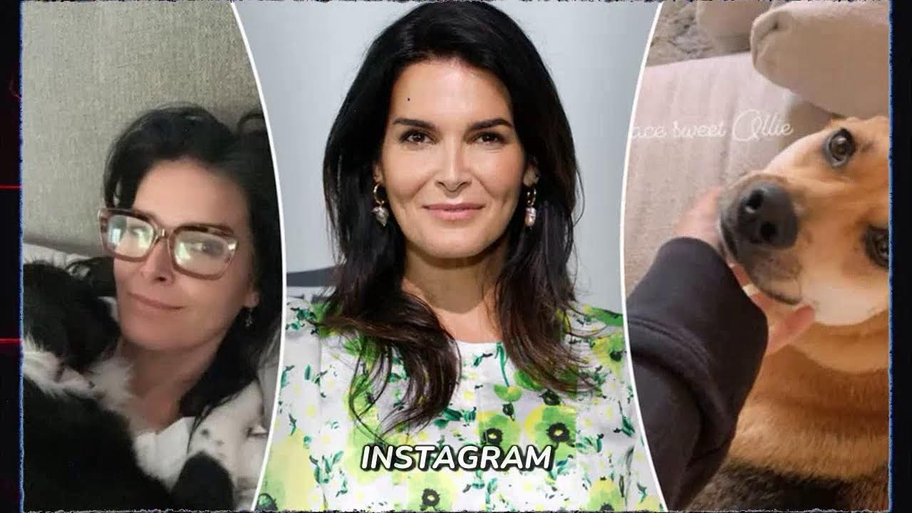 Angie Harmon was 'saved' in unexpected way after delivery driver killed her dog