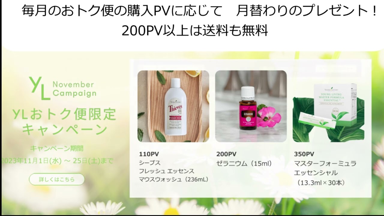 新着情報・キャンペーン Archives - 5ページ目 (41ページ中) - ヤング