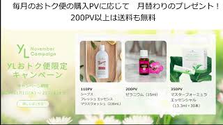 Final!】ヤング・リビング・ジャパン 25周年スクラッチキャンペーン