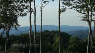 Foscoe Rentals Timbers F1