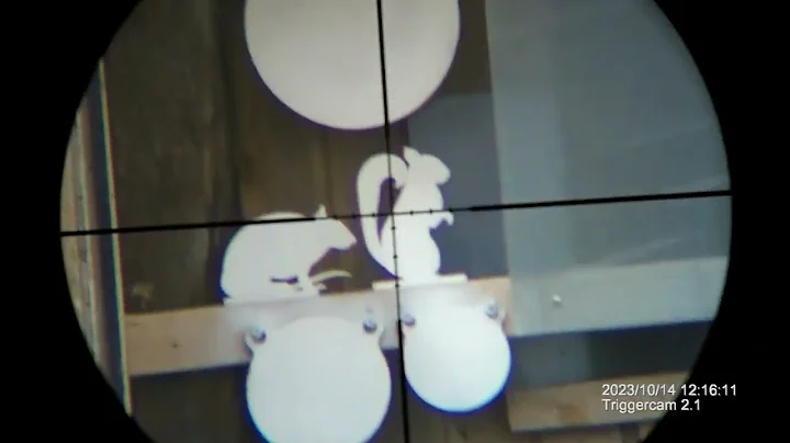 Ruger Precision RimFire 22LR with CCI Blazer Ammo at 50 Yards