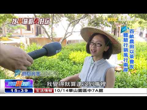 茶園民宿賣「體驗」 泰寧觀光拚轉型《海峽拚經濟》
