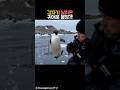 갑자기 날아온 귀여운 불청객 #동물 #펭귄