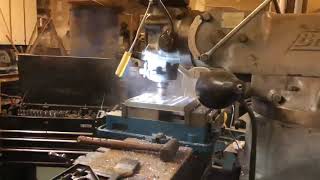 IMG 6042