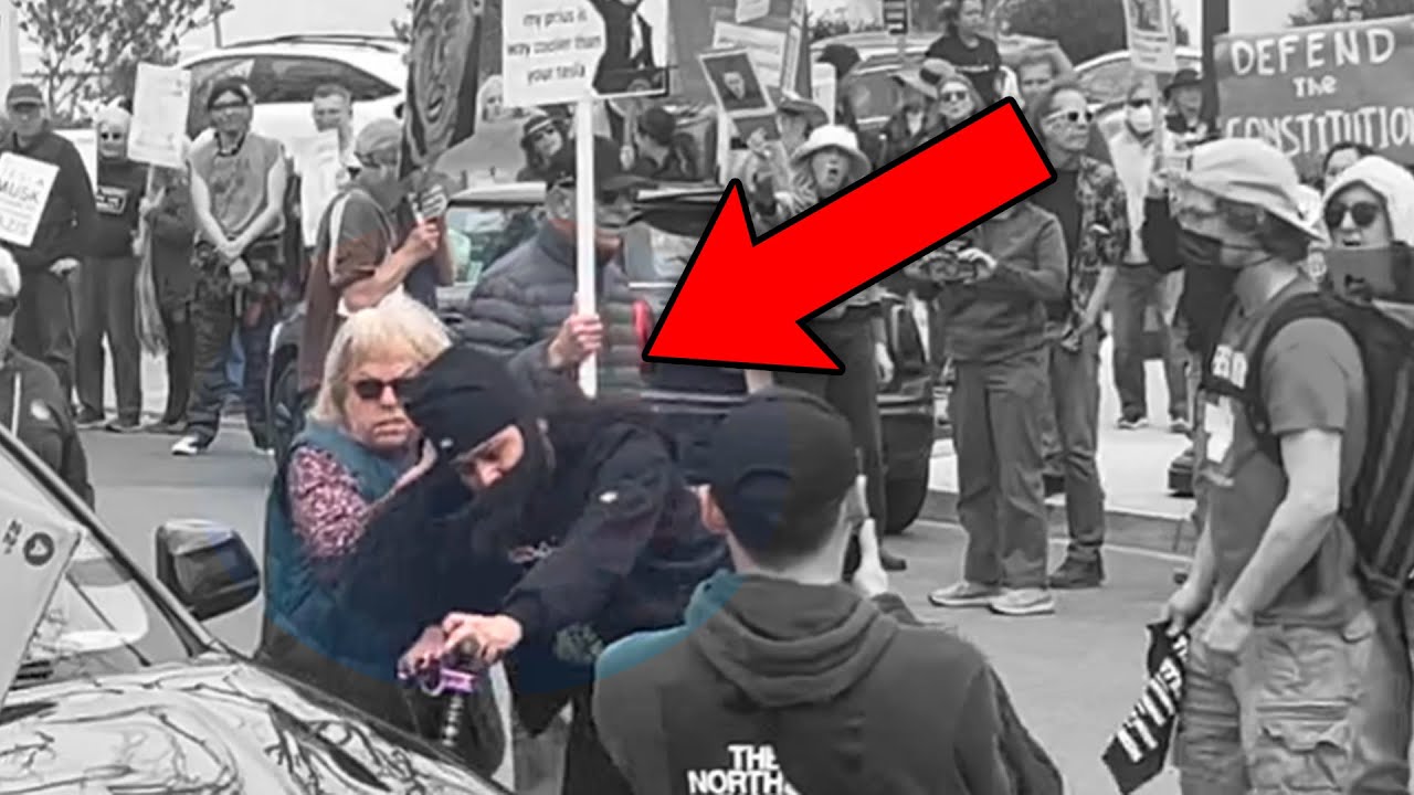 MAGA Guy Attacks Protesters to Defend Elon Musk