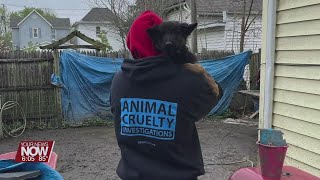 Ohio SPCA removes 22 dogs from a Lima home - Donations are now needed to help with vet bills caring