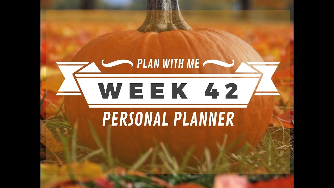 Plan With Me -Week 42- Personal Planner
