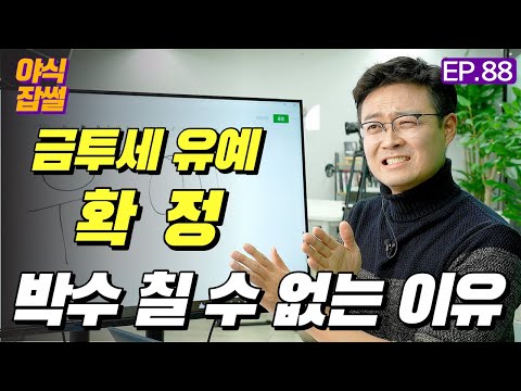 긴급속보 아 이게 뭔가요 금투세 2년 유예는 됐지만 지금부터가 진짜 중요합니다 이대호 기자 야식잡썰 EP 88 